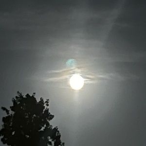 Meet your Posher, Kennedi